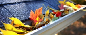 Ridgefield gutter cleaning