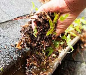 Easton CT Gutter Cleaning Service