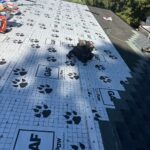 Complete Roof Replacement